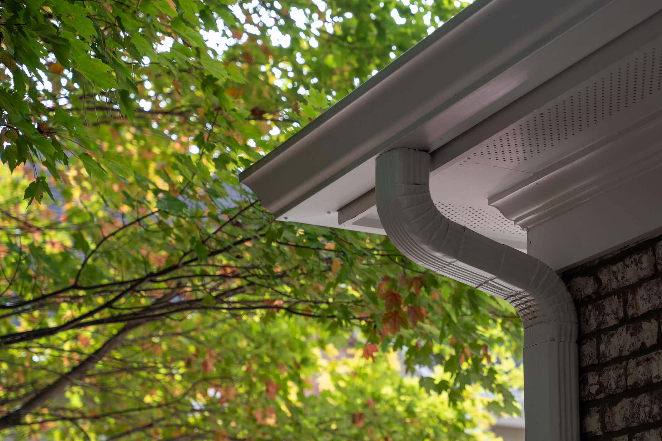 Gutters on a house with a tree in the background