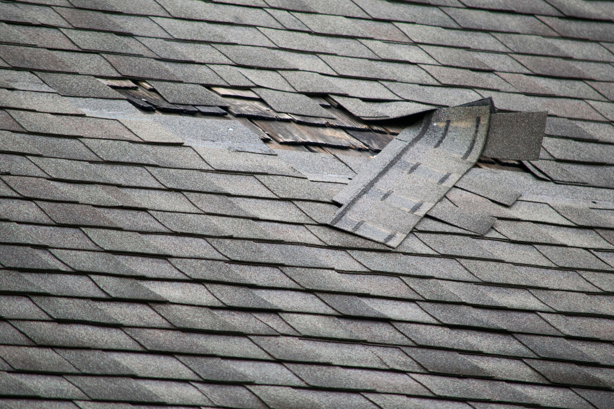 Storm damage observed to shingles on a roof